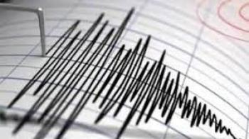 न्यूजीलैंड में भूकंप के तेज झटके, सुनामी की चेतावनी