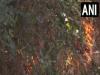 शिमला के टूटीकंडी इलाके में वन क्षेत्र में लगी आग 
