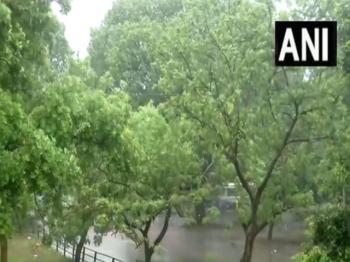  चंडीगढ़ शहर के कई हिस्सों में हुई बारिश 