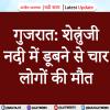 शेत्रुंजी नदी में डूबने से चार लोगों की मौत 