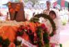 CRPF जवान महारबाम प्रबो सिंह को दी गई अंतिम श्रद्धांजलि