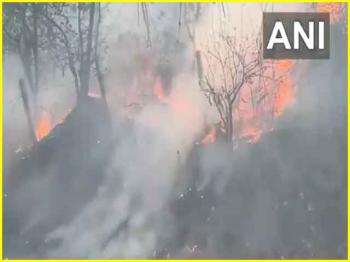 जम्मू-कश्मीर: रियासी के वन क्षेत्र में लगी आग 