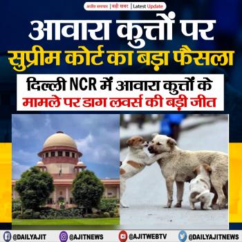 आवारा कुत्तों पर सुप्रीम कोर्ट का बड़ा फैसला