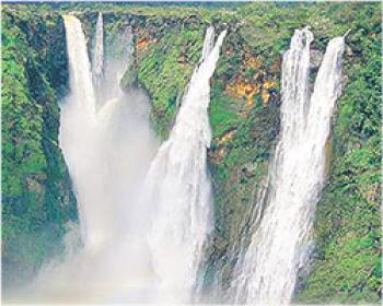 भारत का सबसे ऊंचा झरना कौन सा है ?