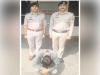 Himachal News: पुलिस की बड़ी कार्रवाई, चोरी के मामले में वांछित आरोपी गिरफ्तार 