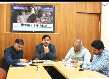 सभी डीएफओ एक हफ्ते के भीतर देंगे वन भूमि की मौजूदा स्टेट्स रिपोर्ट - उपायुक्त 