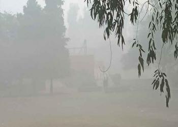 पंजाब का औसत तापमान सामान्य से 5 डिग्री कम