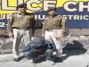 धर्मपुर पुलिस की बड़ी कार्रवाई, चोरी की सरकारी जालियां बरामद