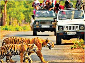 दक्षिण भारत के छुपे हुए हीरा पन्ना