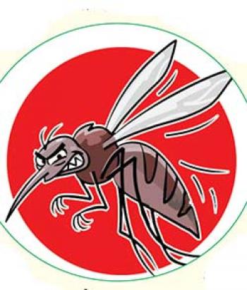 मच्छर से मलेरिया की शिकायत