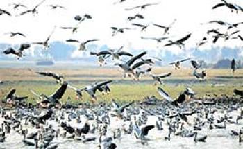 आओ, थोड़ा प्रकृति के बारे में सोचें