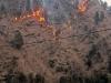 Uttarakhand: चमोली के जंगलों में आग लगने का सिलसिला नहीं थम रहा