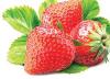 खट्टे मीठे स्वाद वाली स्ट्रॉबेरी 