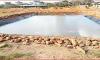 तेज़ी से सूख रहे देश के प्रमुख जलाशय 