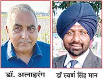 गुलाब निर्यात योजना की व्यवहारिकता को भी देखने की ज़रूरत 