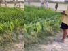 अतरपुर गांव में खेतों में पाइप बिछाने को लेकर हुई फायरिंग