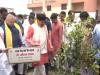 'एक पेड़ मां के नाम' अभियान में CM मोहन यादव ने लगाया पौधा