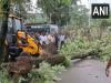 पुंछ में भारी बारिश के कारण कई पेड़ उखड़े 