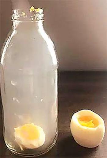 बोतल में अंडा कैसे डालें ?