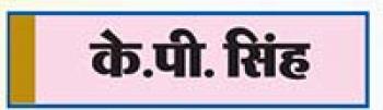पैरों में पेट वाली समुद्री मकड़ी