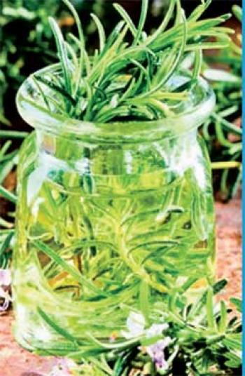 रोजमेरी वाटर जार कैसे तैयार करें ?