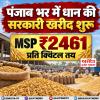 पंजाब भर में धान की सरकारी खरीद शुरू, MSP ₹2461 प्रति क्विंटल तय