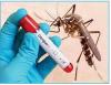 दुनिया की आधी आबादी पर मंडराता डेंगू का खतरा