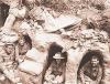 जब मानव सभ्यता ने अपनी ही परछाईं से युद्ध किया