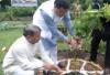सीएम धामी ने 'एक पेड़ मां के नाम' अभियान कार्यक्रम में लिया भाग 